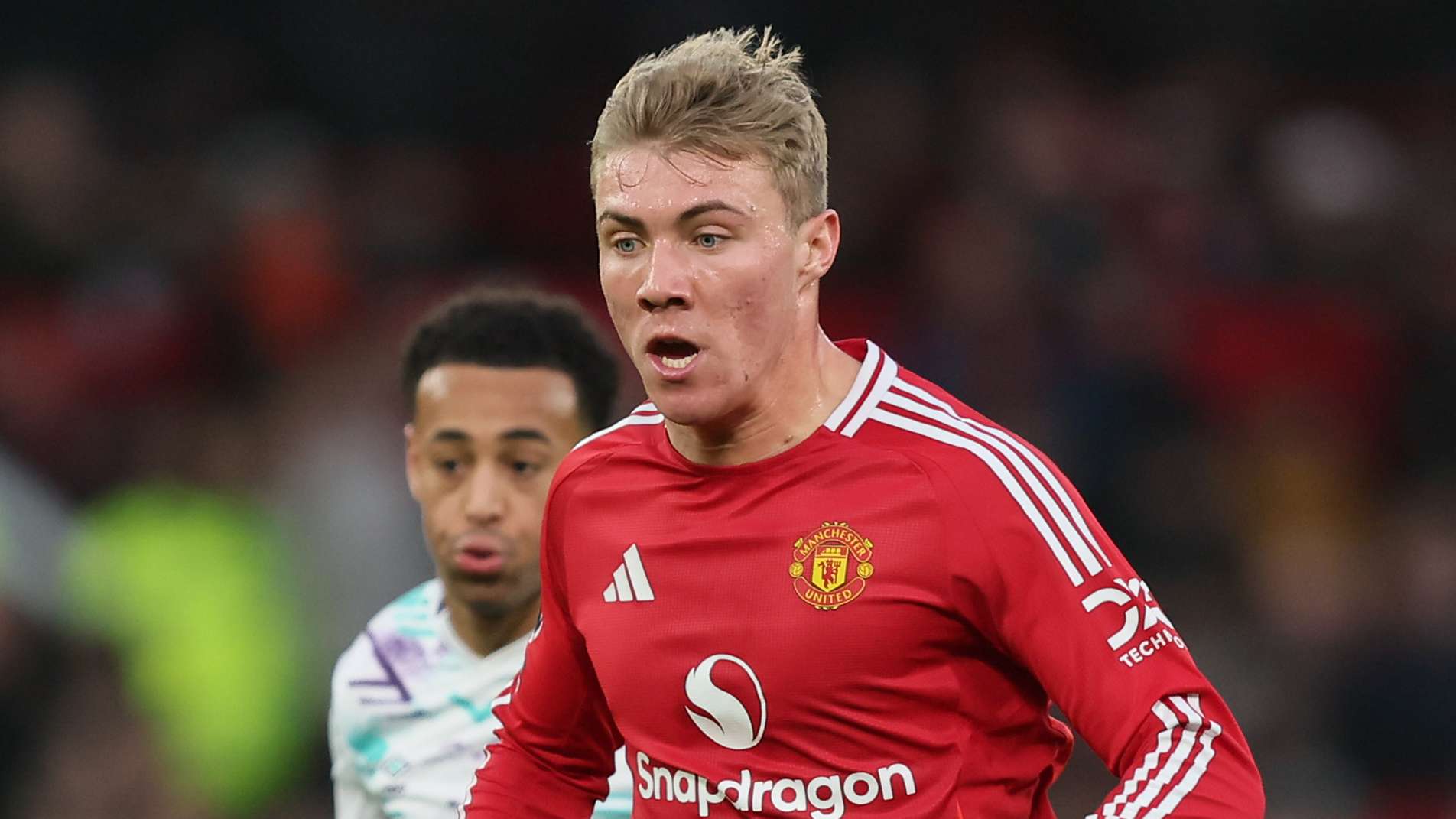 育投资领域 育投资领域