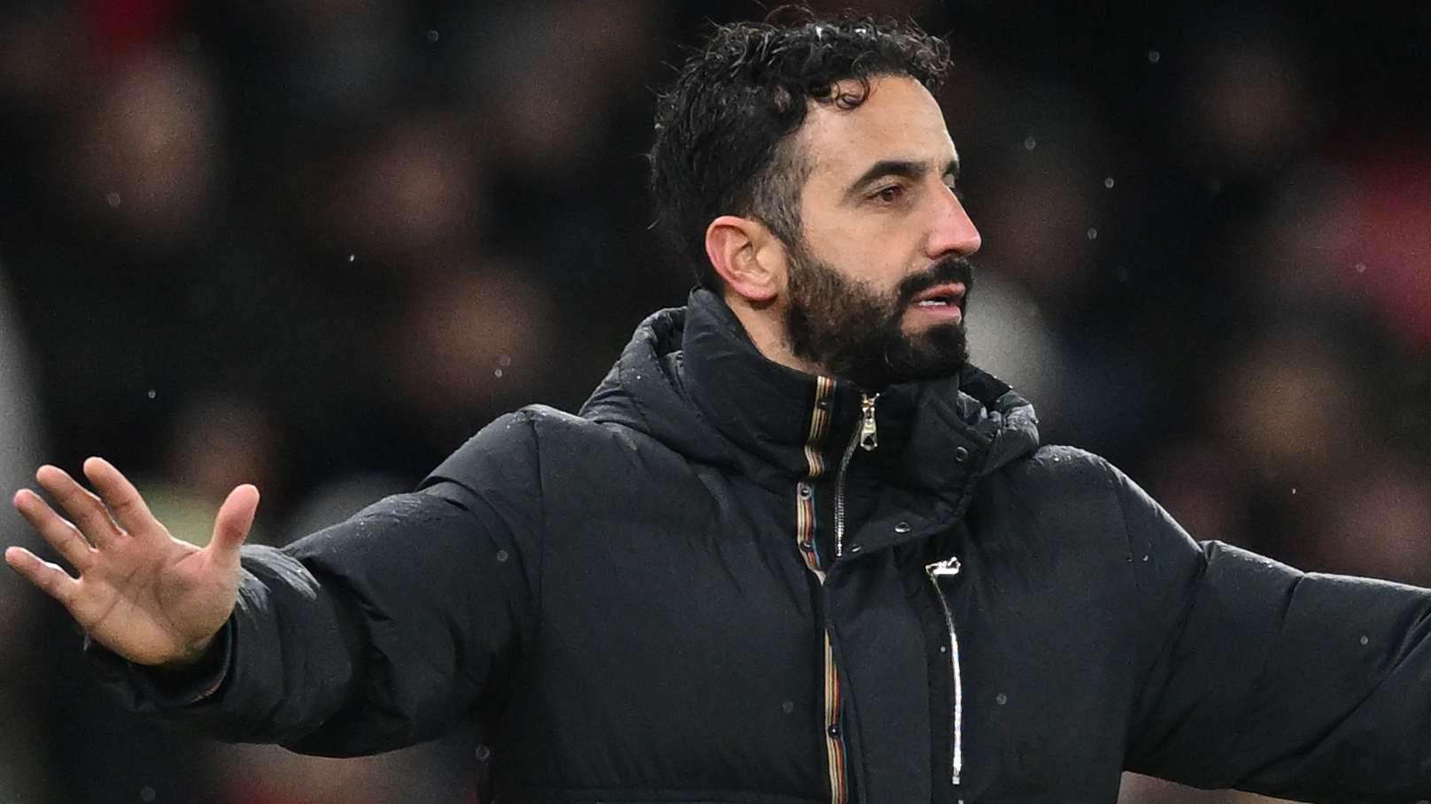 一個清晰的 一個清晰的