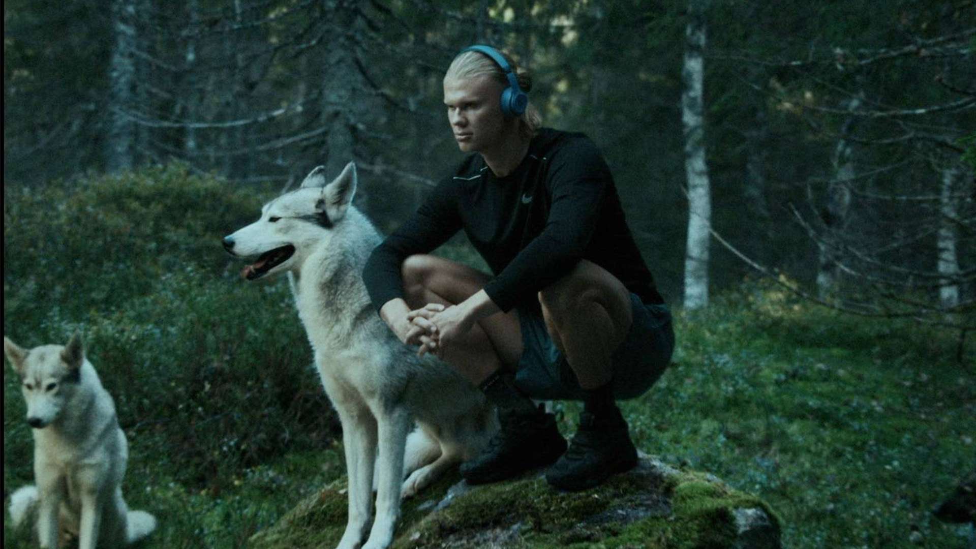 比赛闻名 比赛闻名